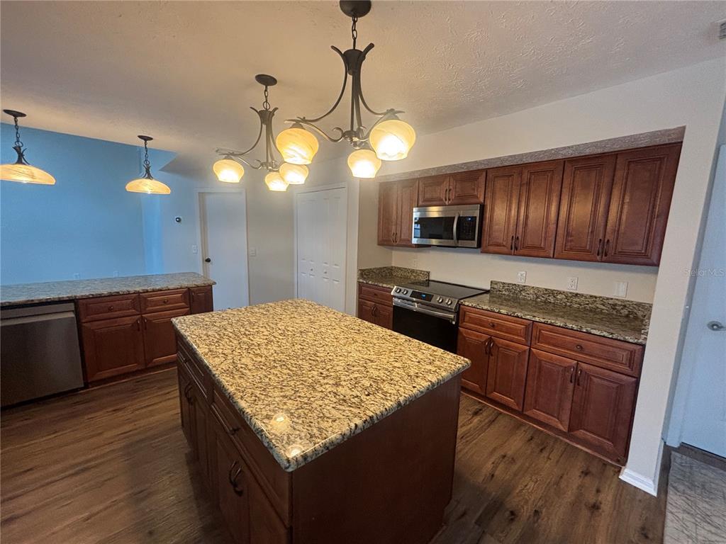 1435 Buckner Road Valrico, FL 33596 - Photo 11 of 53