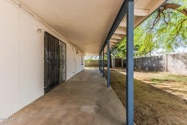 a view of a yard with a large tree