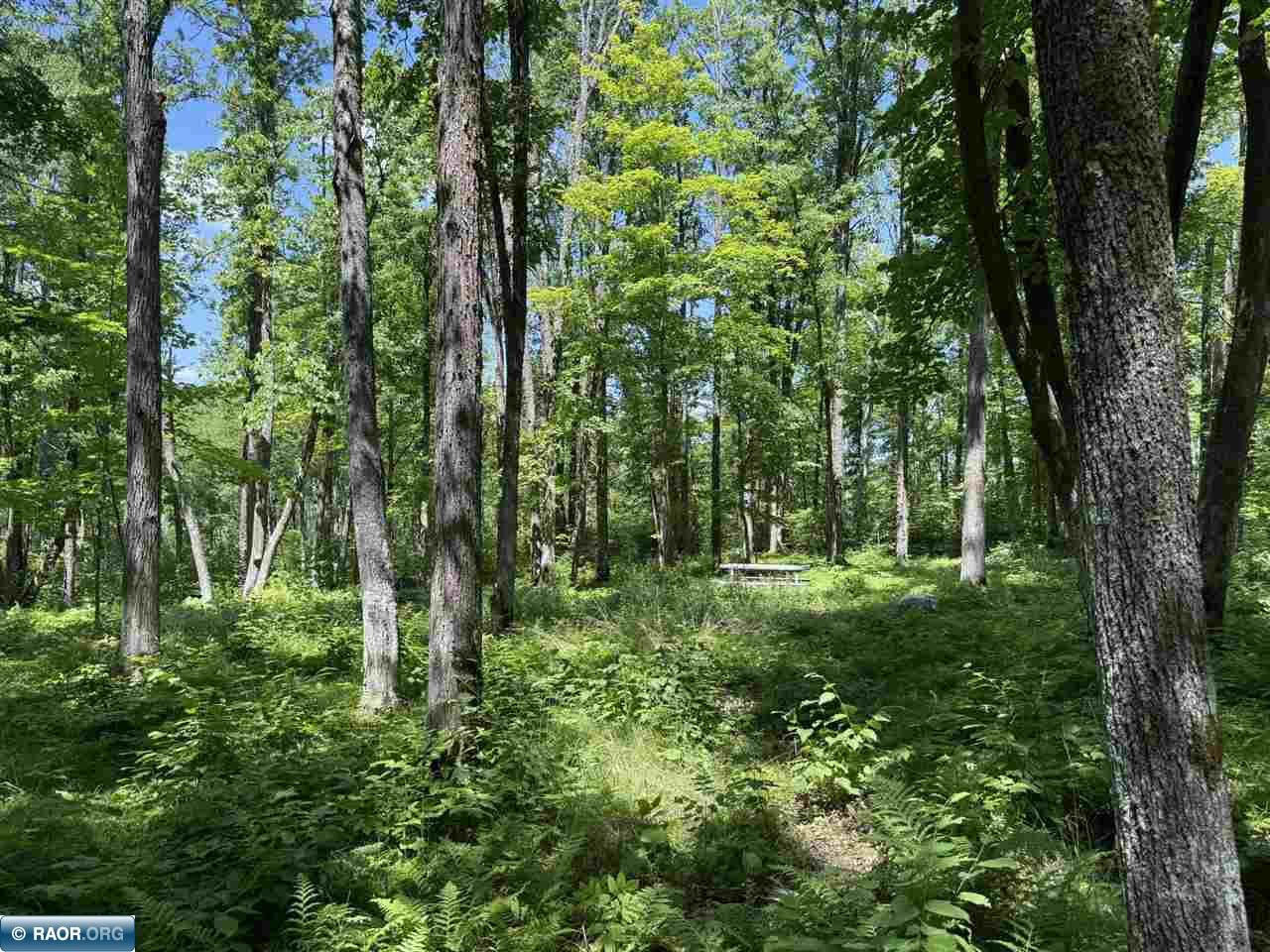 Lot 3 Swan River Pengilly, MN 55775 - Photo 11 of 13