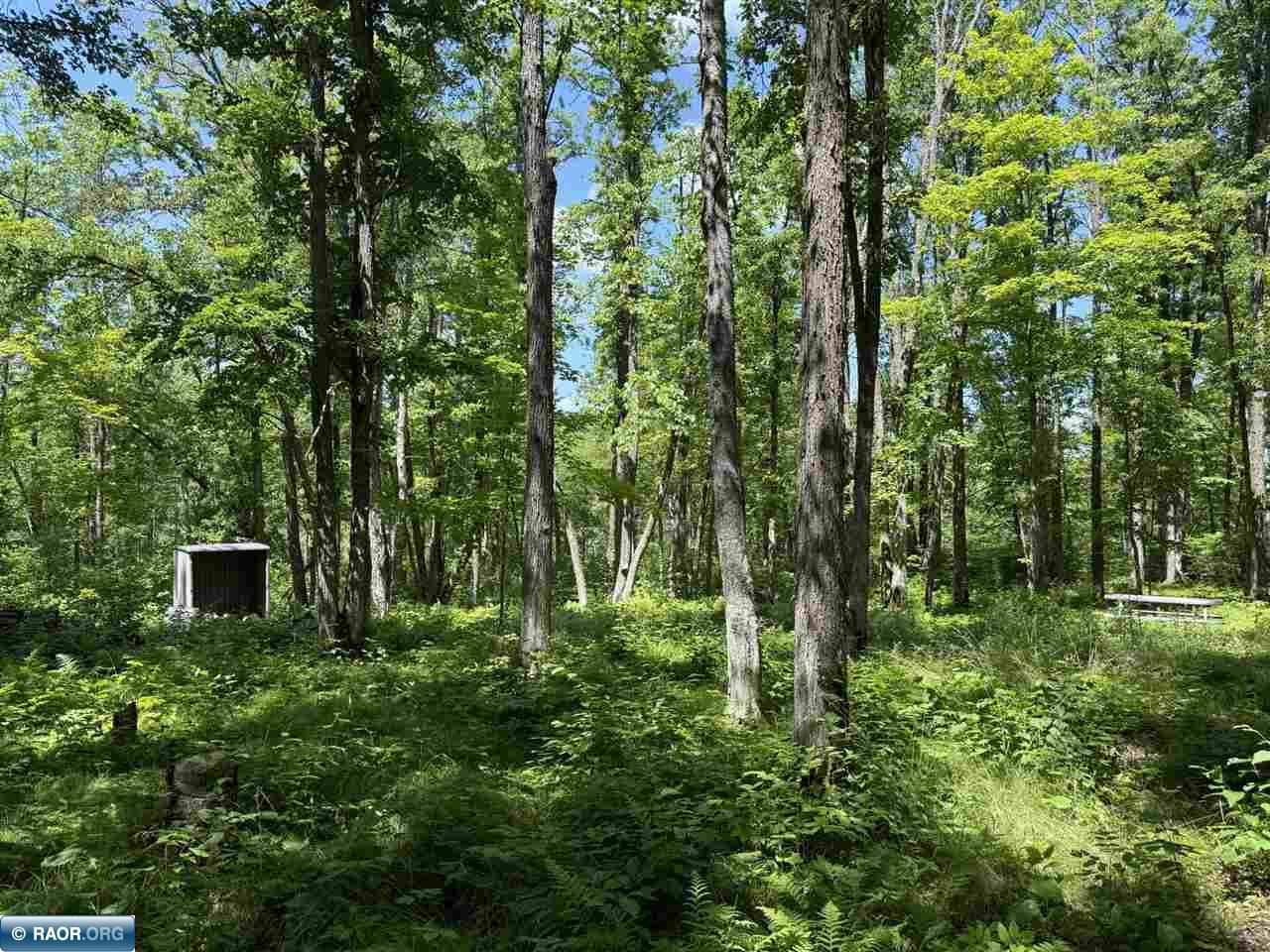 Lot 3 Swan River Pengilly, MN 55775 - Photo 12 of 13
