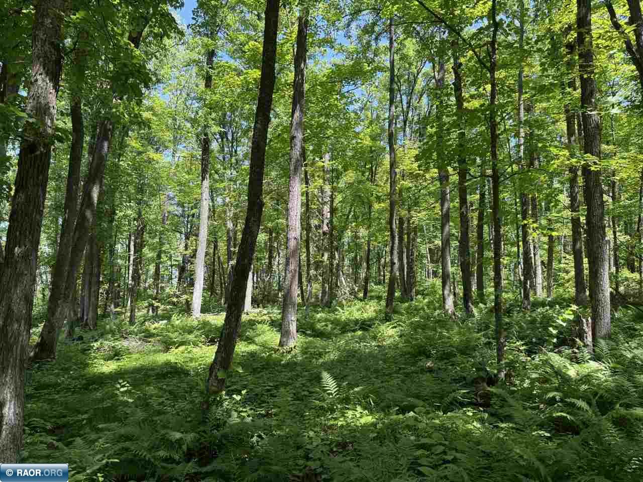 Lot 3 Swan River Pengilly, MN 55775 - Photo 13 of 13