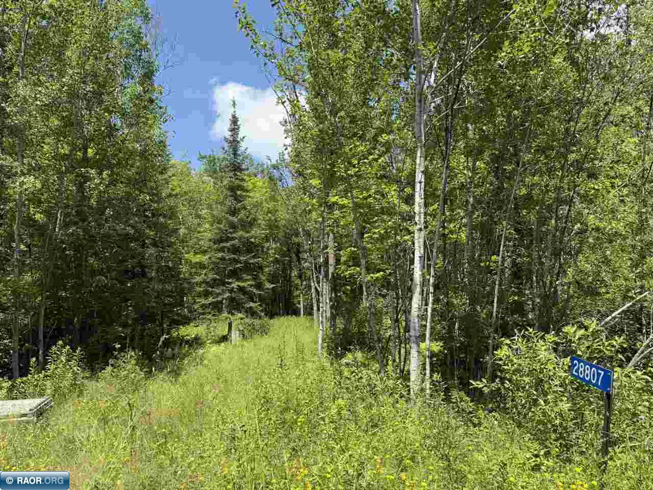 Lot 3 Swan River Pengilly, MN 55775 - Photo 5 of 13