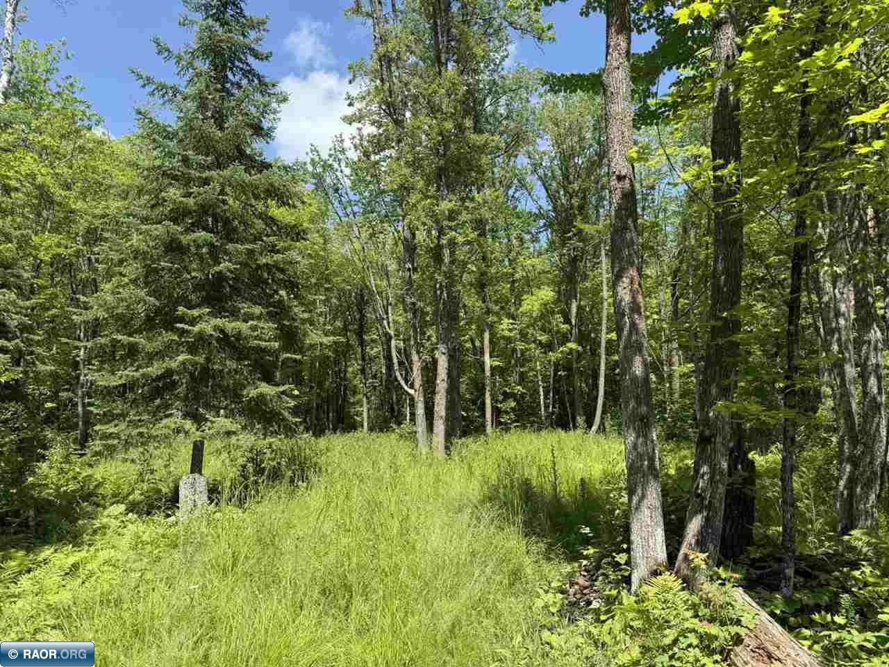 Lot 3 Swan River Pengilly, MN 55775 - Photo 6 of 13