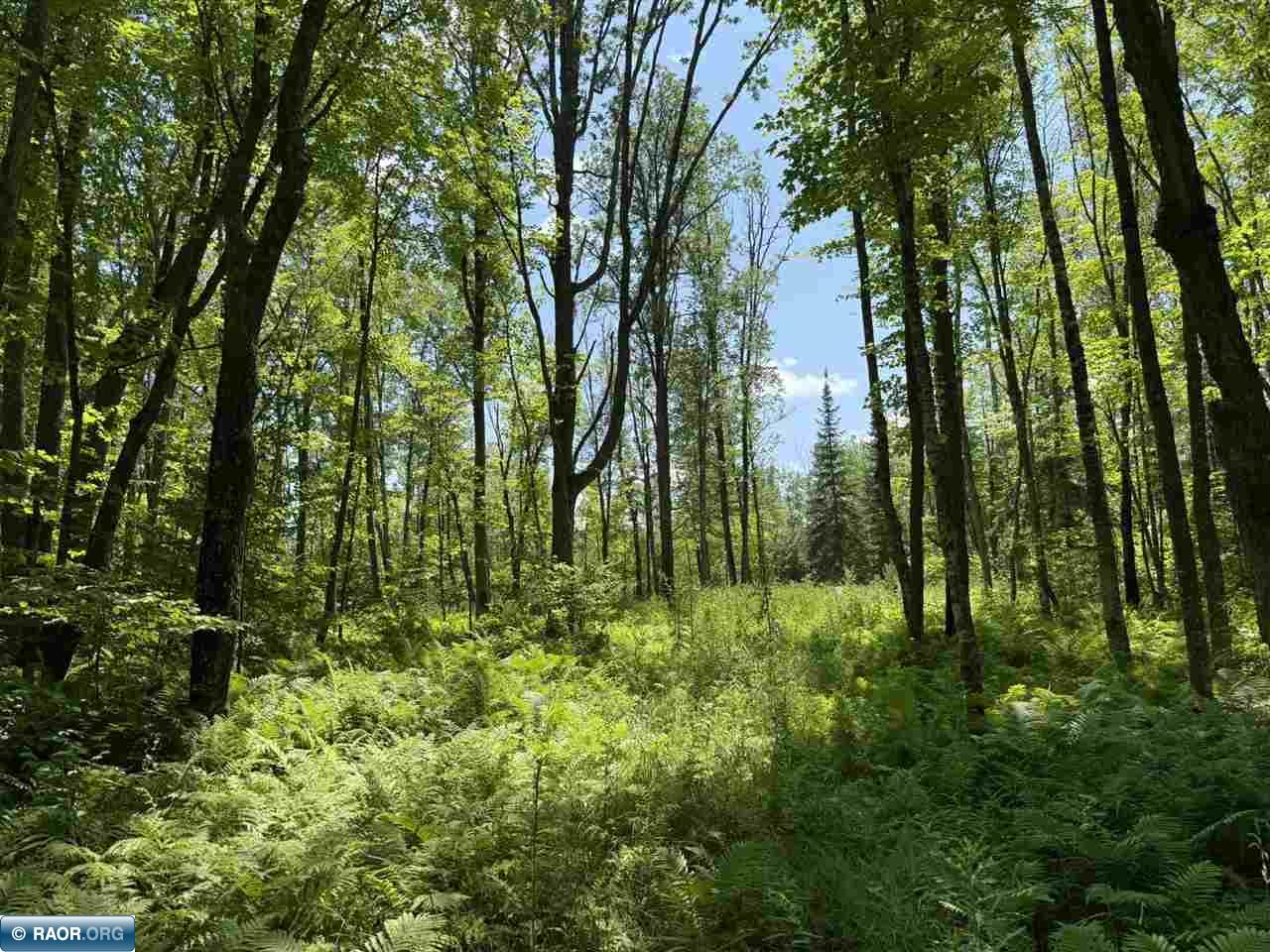 Lot 3 Swan River Pengilly, MN 55775 - Photo 7 of 13