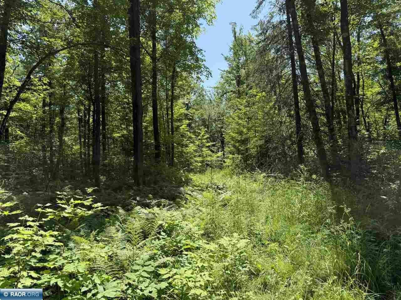 Lot 3 Swan River Pengilly, MN 55775 - Photo 8 of 13