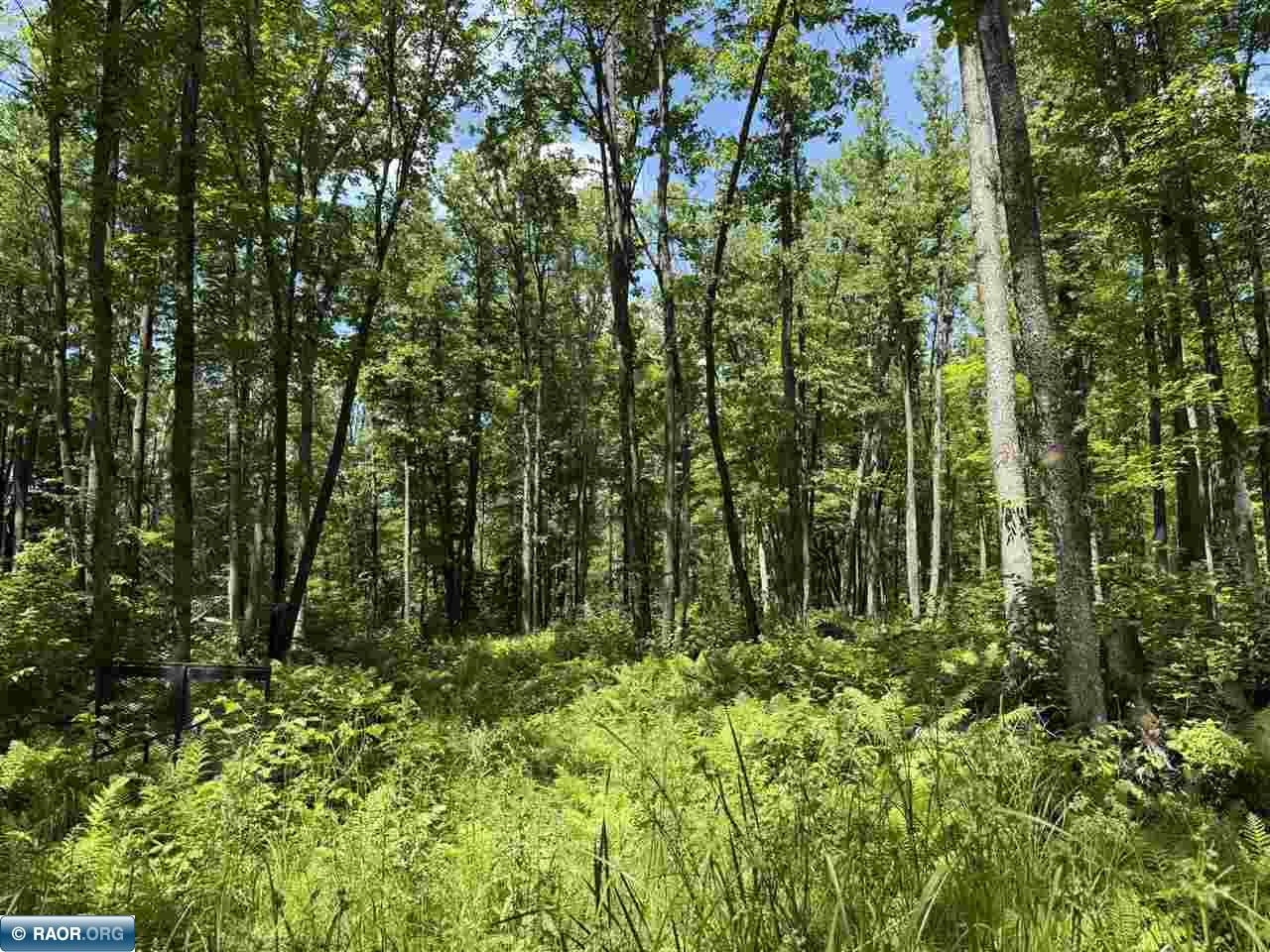 Lot 3 Swan River Pengilly, MN 55775 - Photo 9 of 13