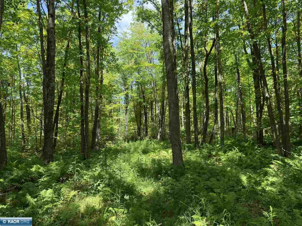 Lot 3 Swan River Pengilly, MN 55775 - Photo 10 of 13