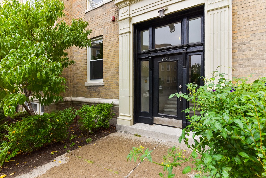 235 Freeman Street, Unit 4 Brookline, MA 02446 - Photo 17 of 17 Gallery Image 17