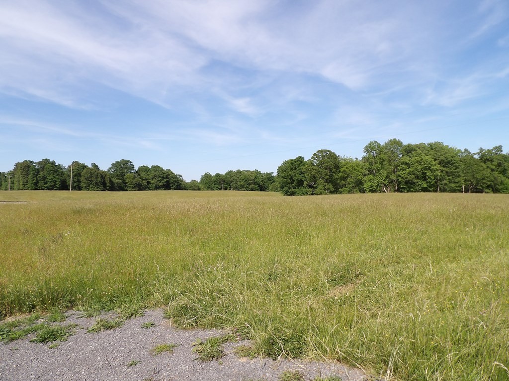 1030 Big Neck Road Grandview, TN 37337 - Photo 10 of 54 Gallery Image 10