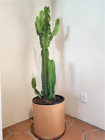 $2,200 | 5952 Mariposa Avenue, Twentynine Palms, CA 92277