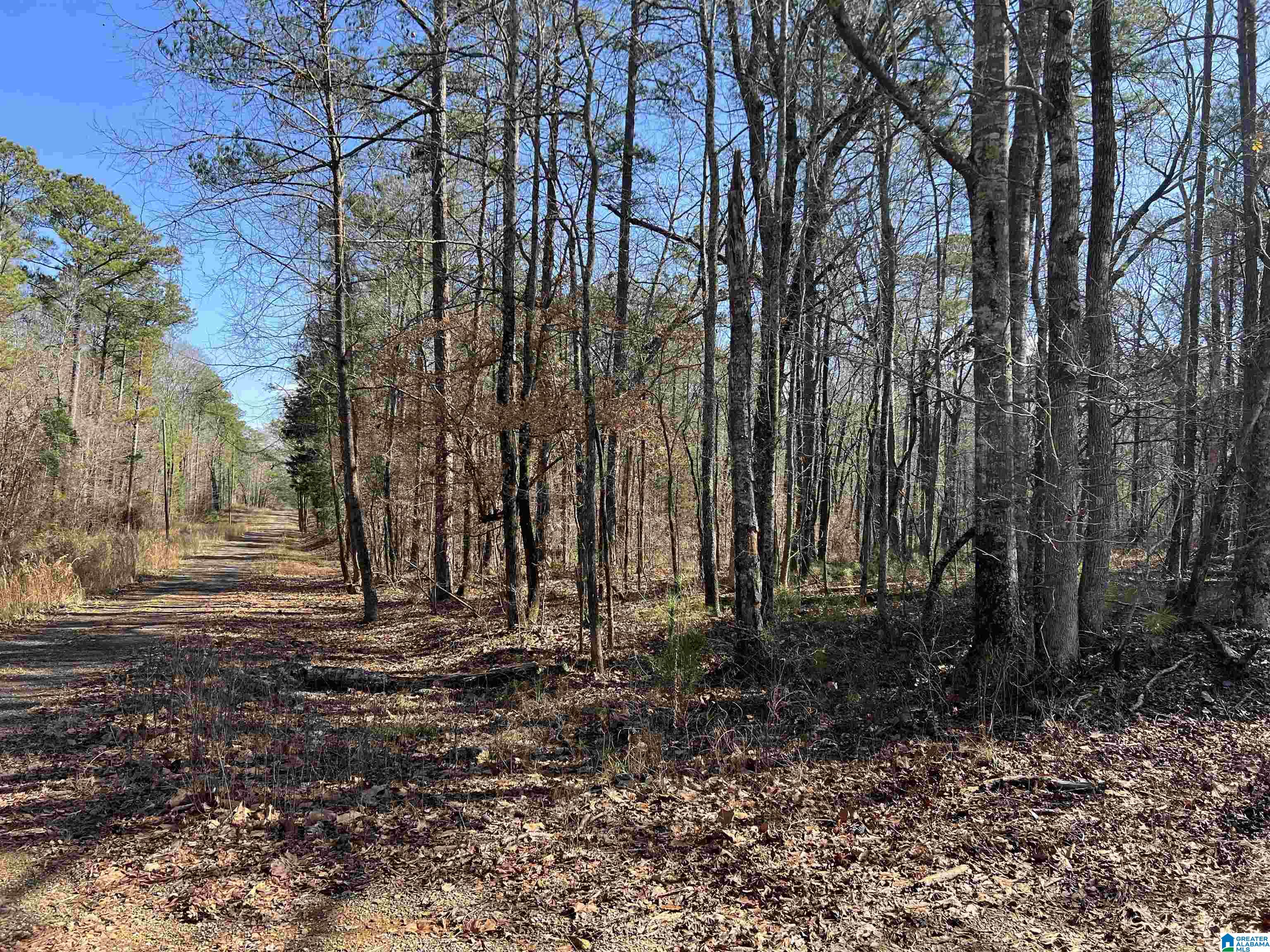 Lot 209 Greenbriar Road, Unit 209 Talladega, AL 35160 - Photo 2 of 5