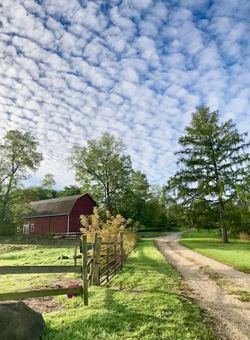 a view of a room with wooden racks
