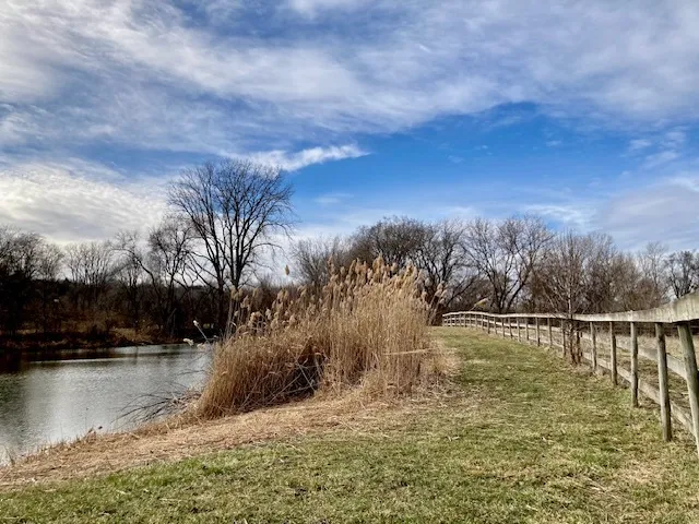 a view of a lake with houses