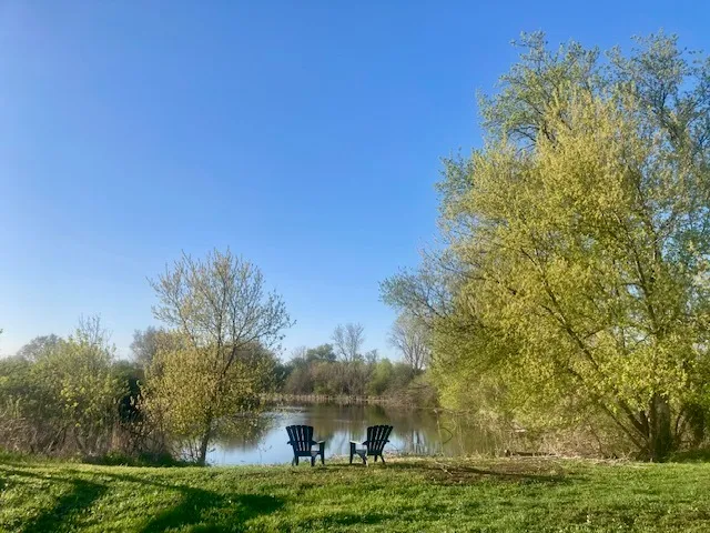 a view of a terrace with a bench