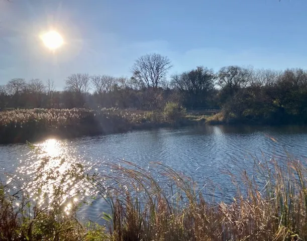 a view of wooden fence of a house