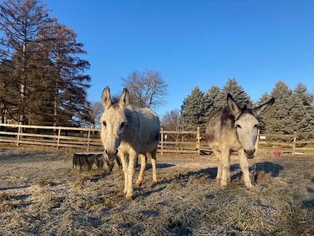 a view of a room that has a large window and front door