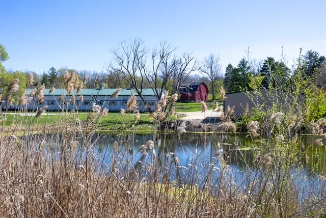 a view of river covered by trees and buildings