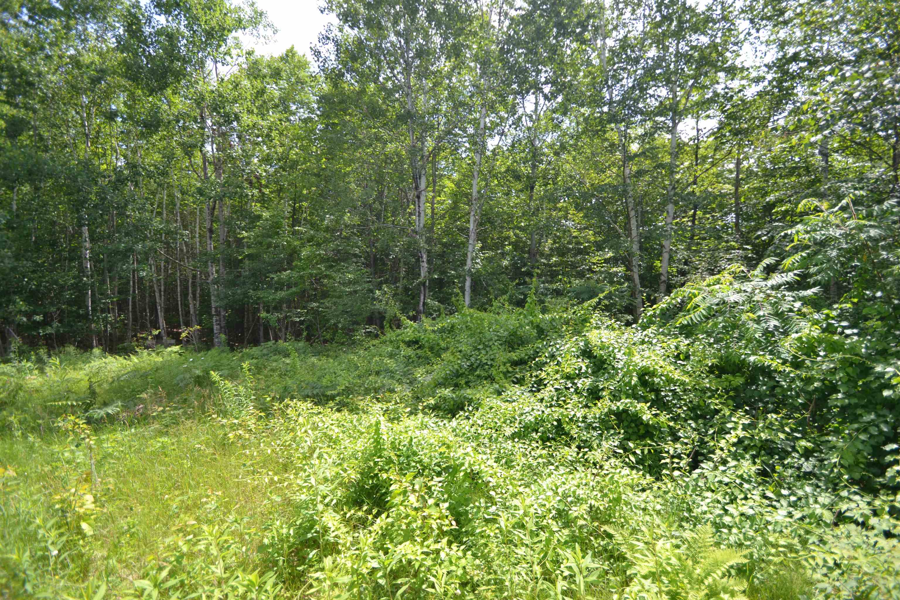 96 Lane Road Holderness, NH 03245 - Photo 14 of 16