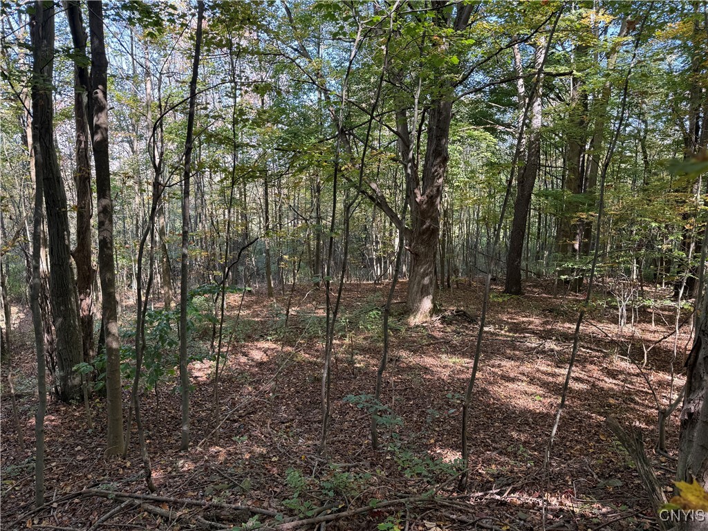 2391 Vormwald Road Tully, NY 13159 - Photo 12 of 12