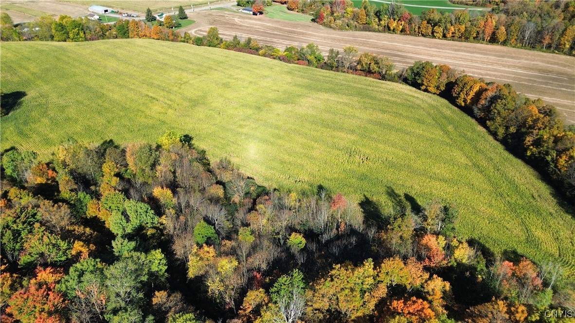 2391 Vormwald Road Tully, NY 13159 - Photo 2 of 12