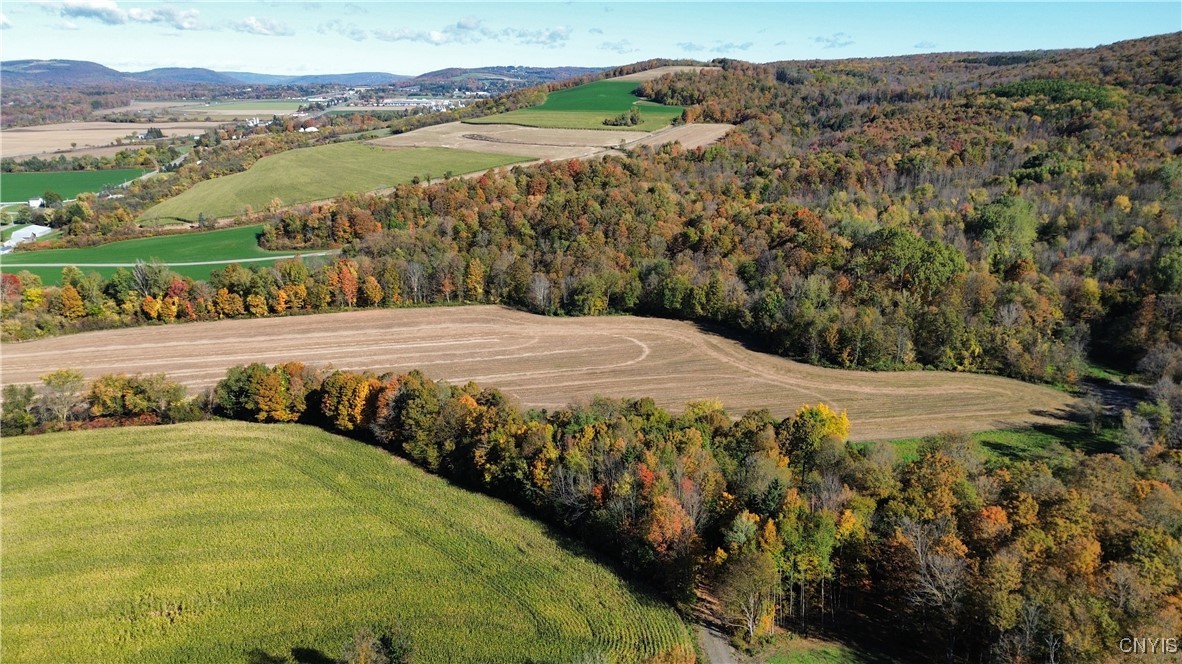 2391 Vormwald Road Tully, NY 13159 - Photo 4 of 12