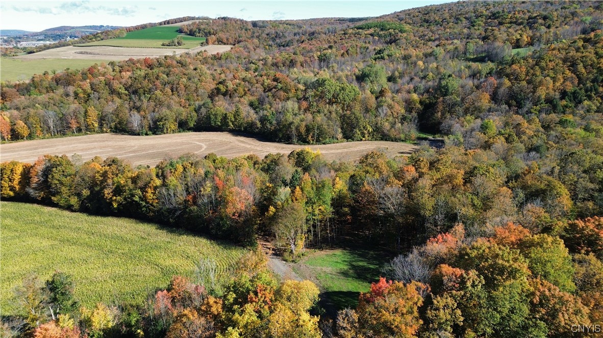 2391 Vormwald Road Tully, NY 13159 - Photo 5 of 12