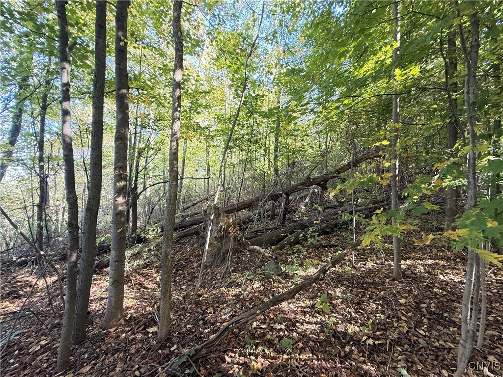 2391 Vormwald Road Tully, NY 13159 - Photo 6 of 12