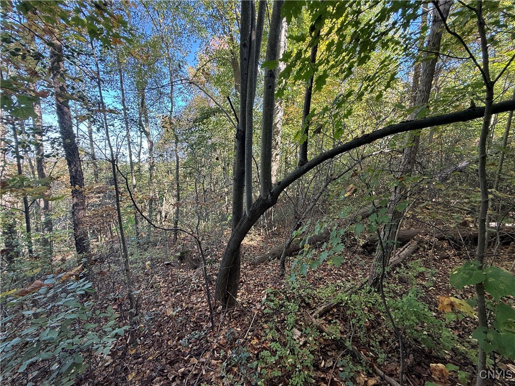 2391 Vormwald Road Tully, NY 13159 - Photo 7 of 12