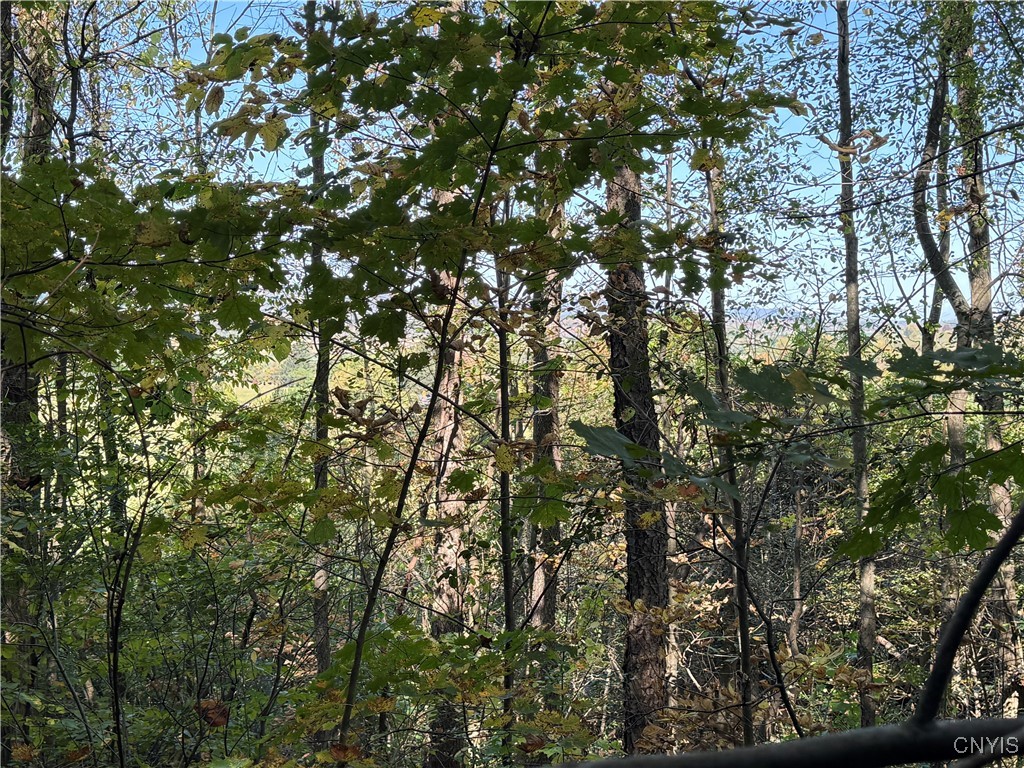 2391 Vormwald Road Tully, NY 13159 - Photo 8 of 12