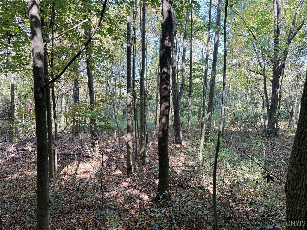 2391 Vormwald Road Tully, NY 13159 - Photo 9 of 12