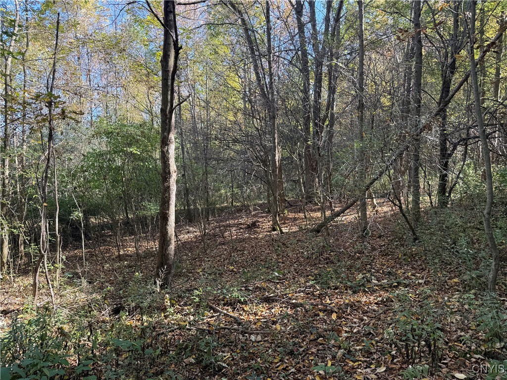 2391 Vormwald Road Tully, NY 13159 - Photo 10 of 12