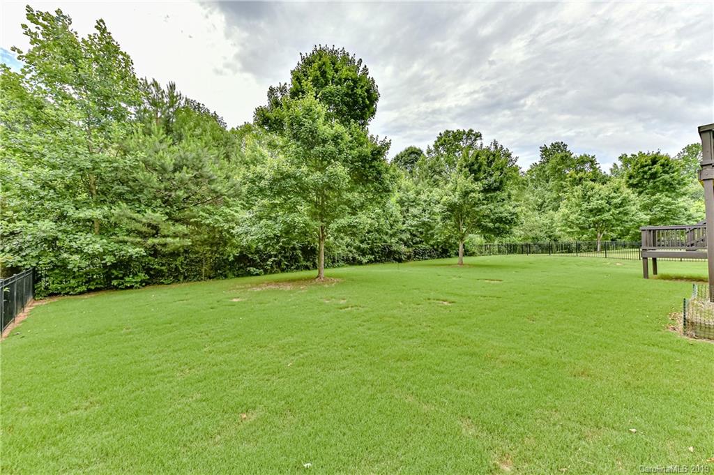 872 Treasure Court Fort Mill, SC 29708 - Photo 40 of 42 a view of a trees with a yard