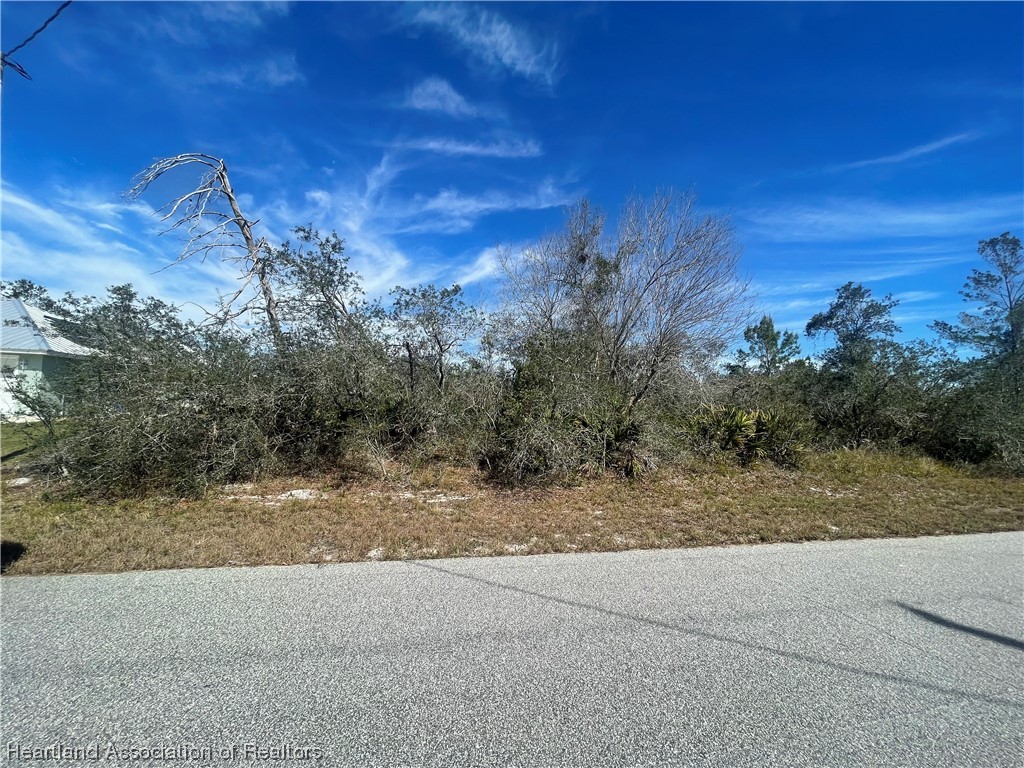 117 Grape Road Northwest Lake Placid, FL 33852 - Photo 1 of 4 Gallery Image 1