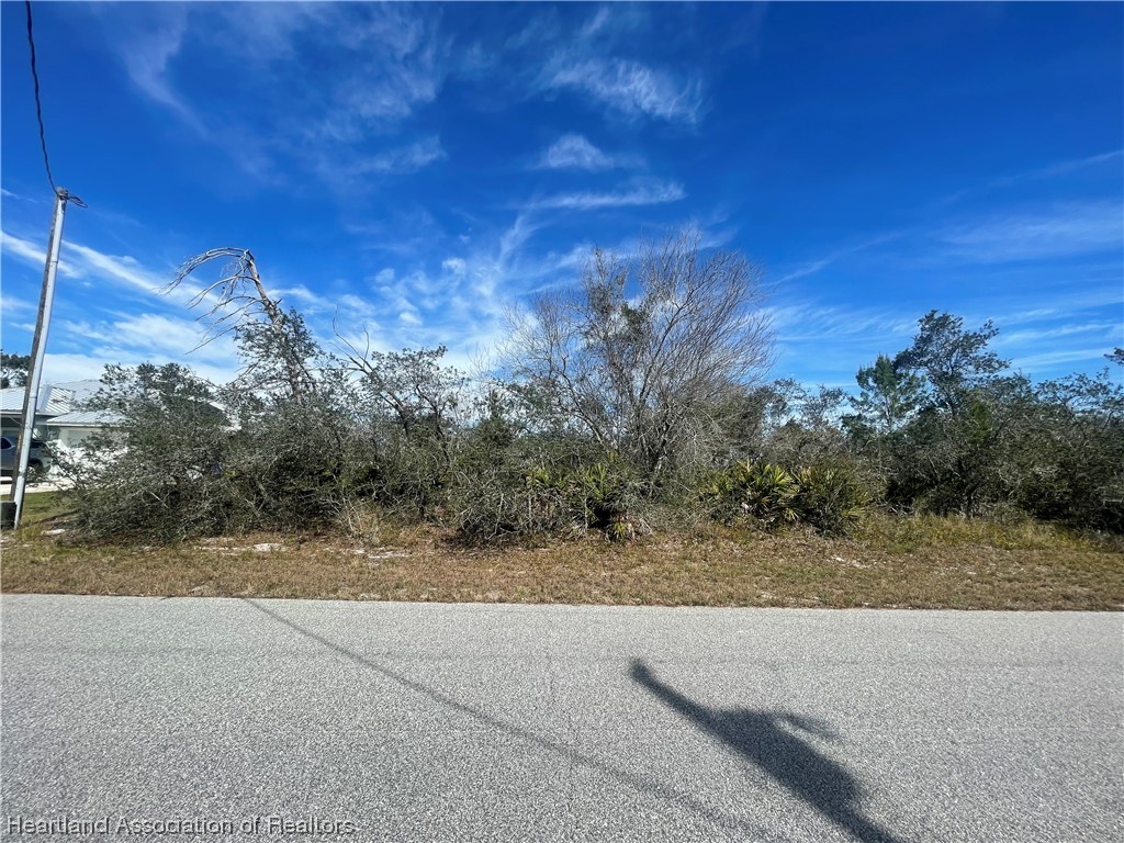 117 Grape Road Northwest Lake Placid, FL 33852 - Photo 2 of 4 Gallery Image 2