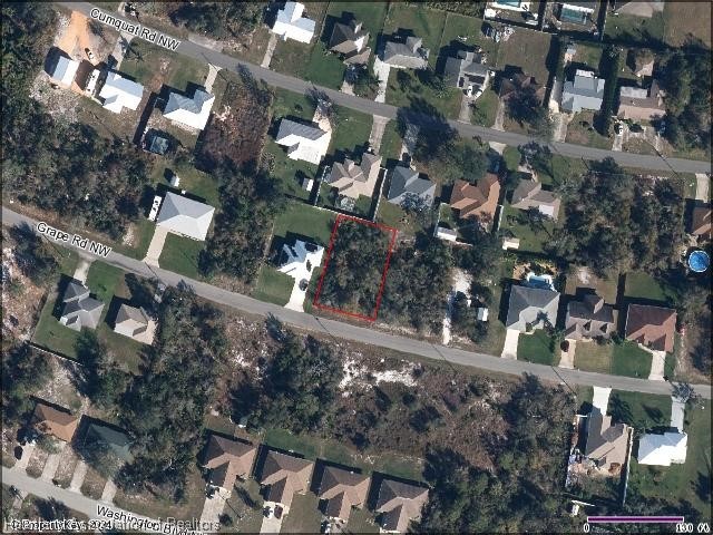 117 Grape Road Northwest Lake Placid, FL 33852 - Photo 4 of 4 Gallery Image 4