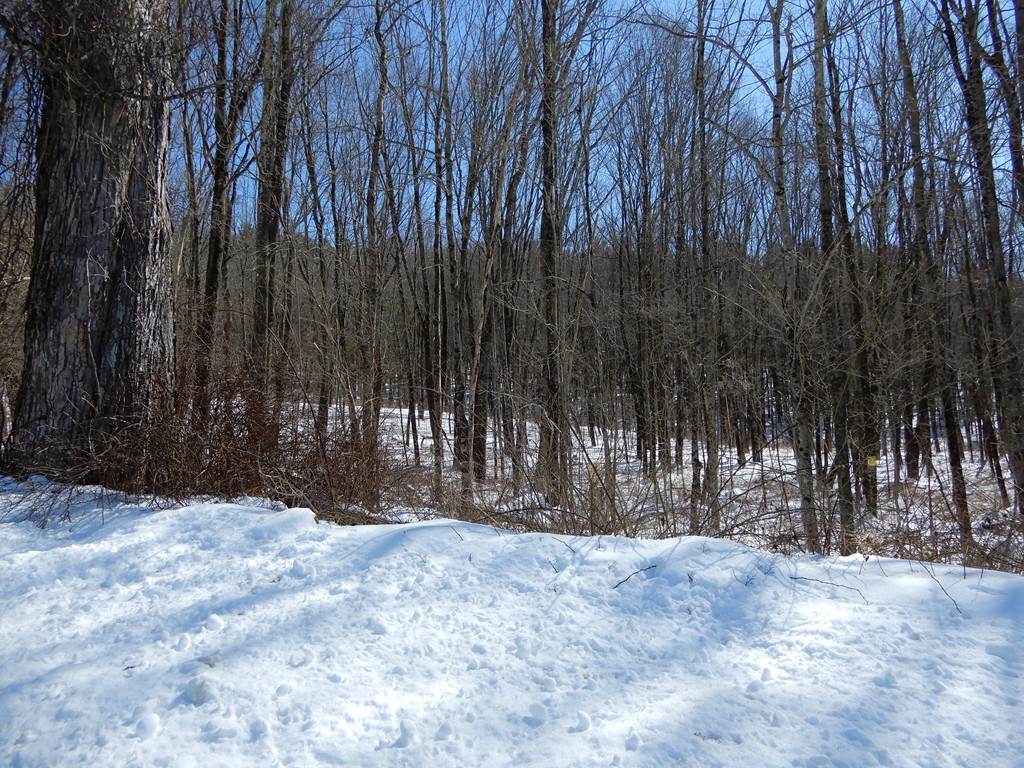 71-73 Joslyn Road Hardwick, MA 01031 - Photo 6 of 30