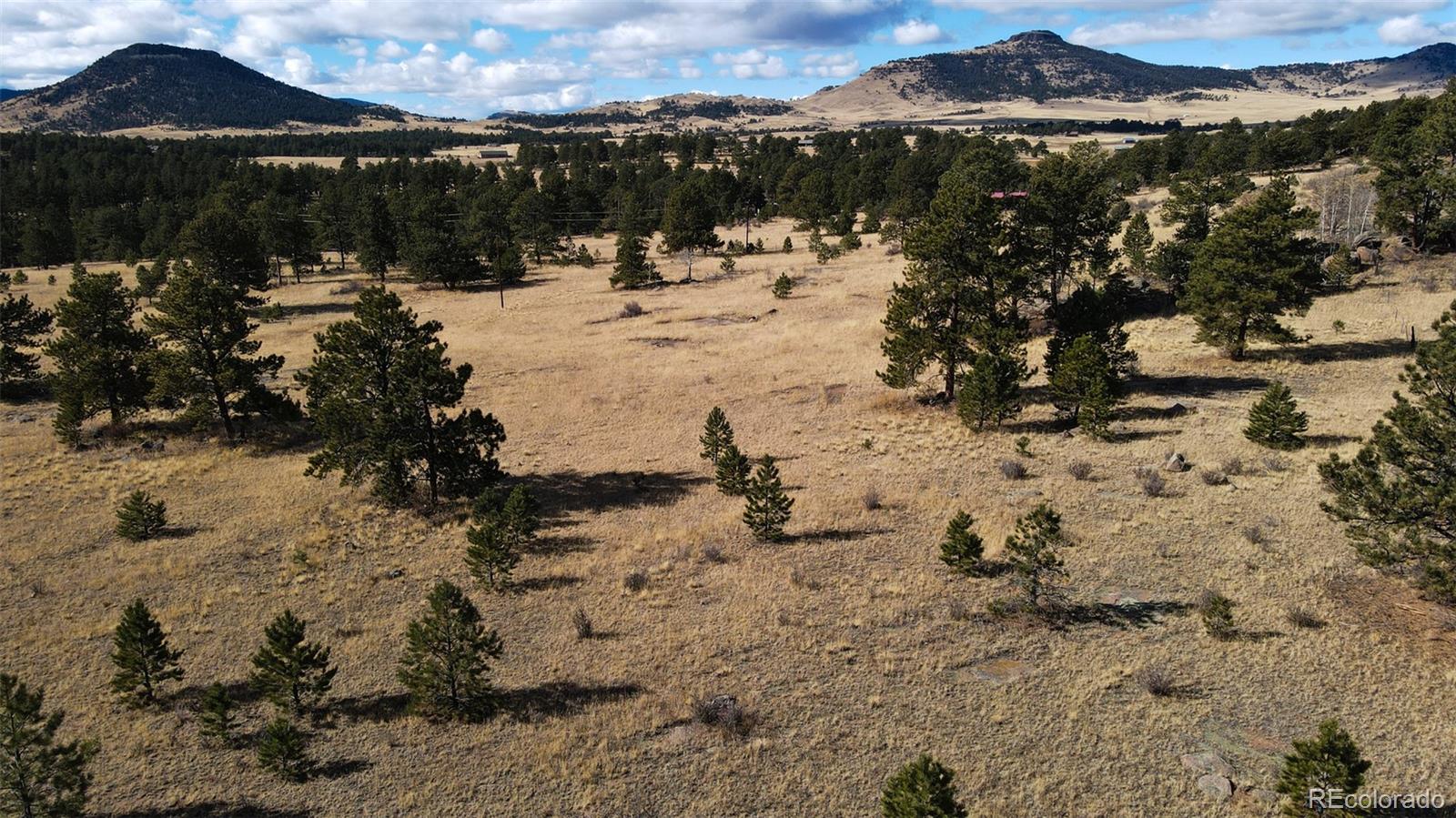 101 Piney Road Guffey, CO 80820 - Photo 3 of 10