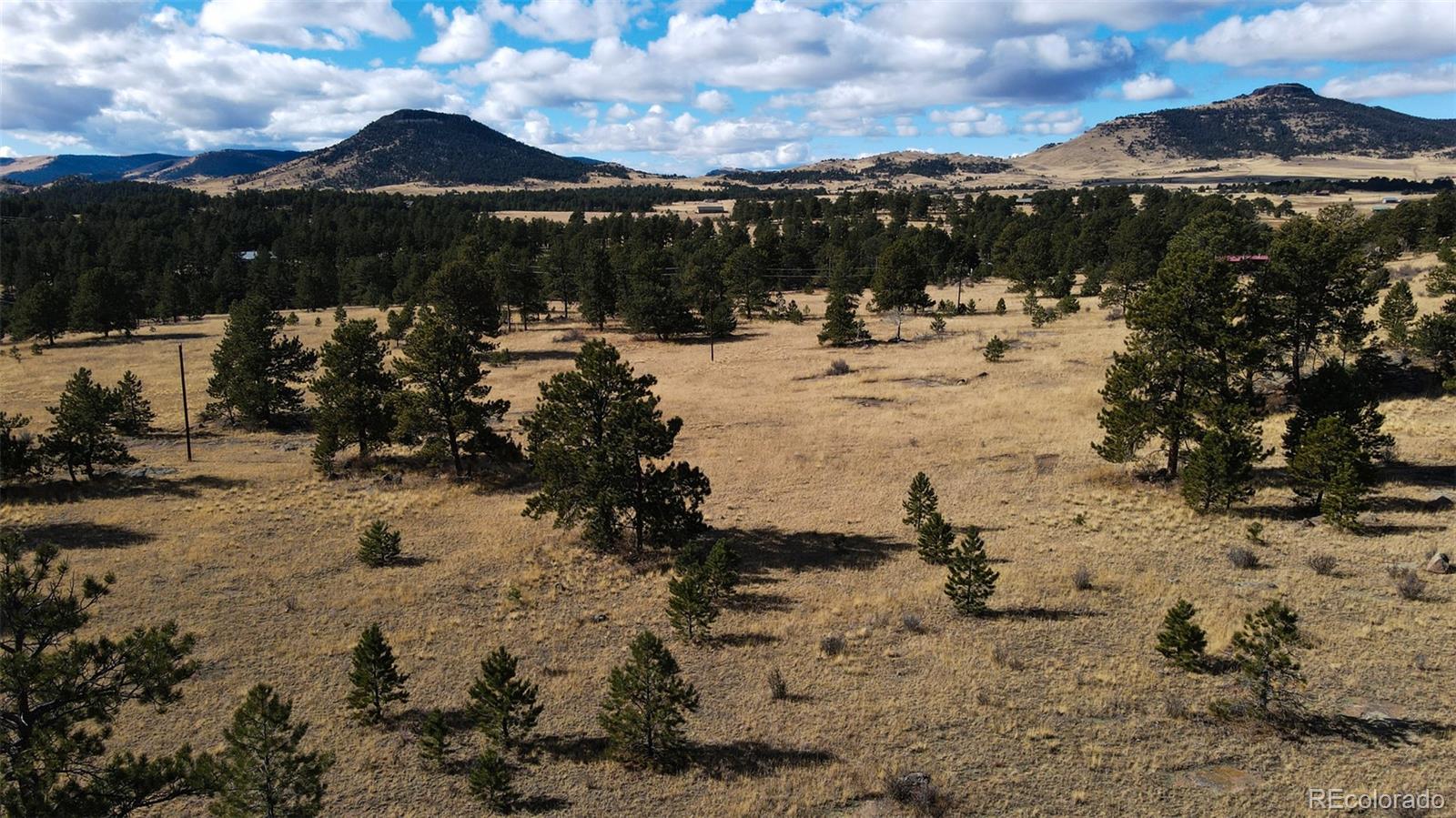 101 Piney Road Guffey, CO 80820 - Photo 4 of 10