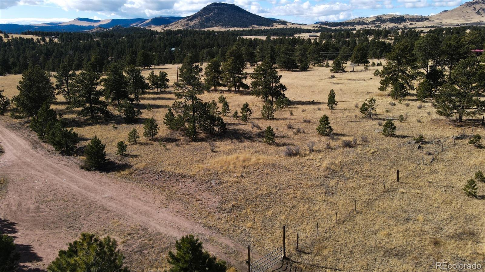 101 Piney Road Guffey, CO 80820 - Photo 5 of 10