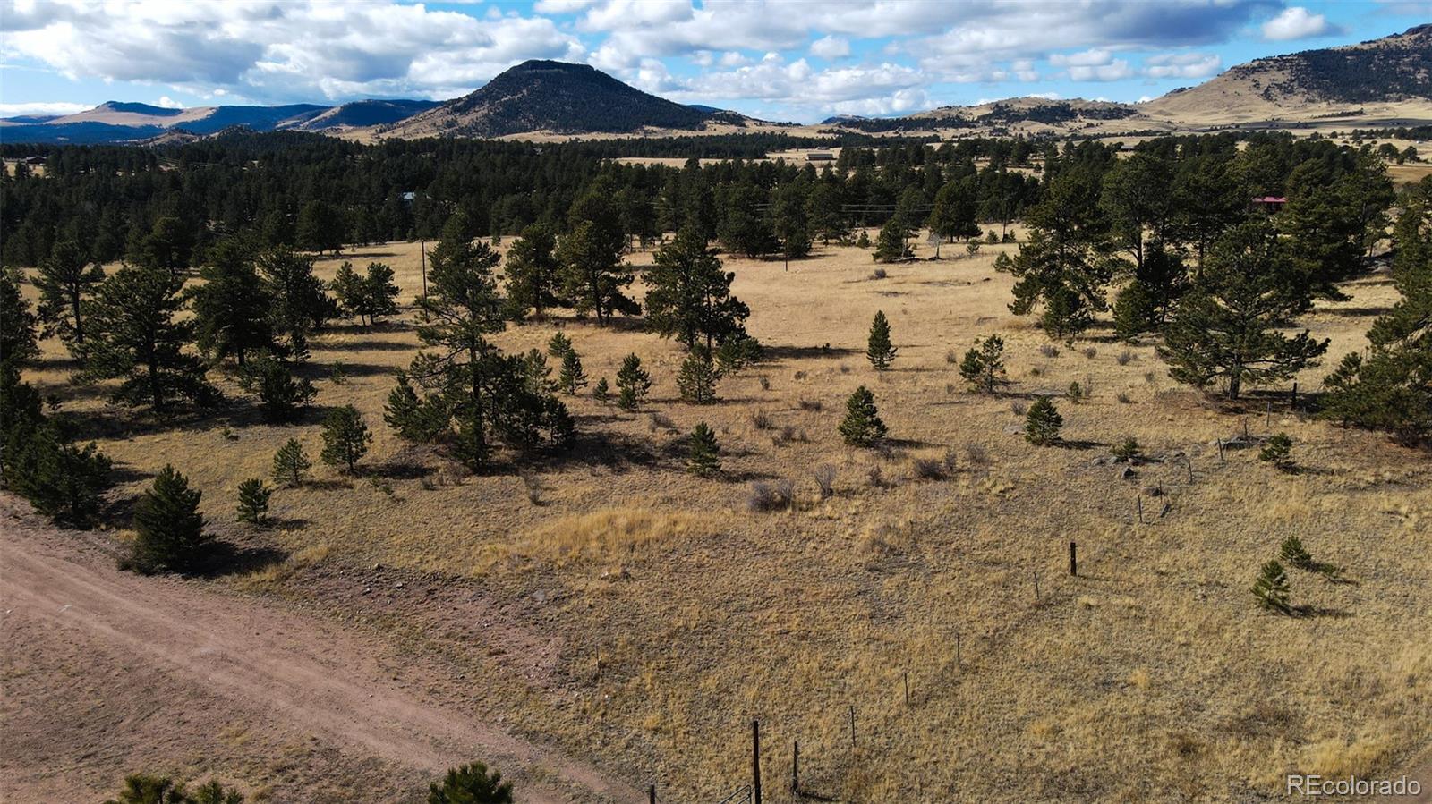 101 Piney Road Guffey, CO 80820 - Photo 6 of 10