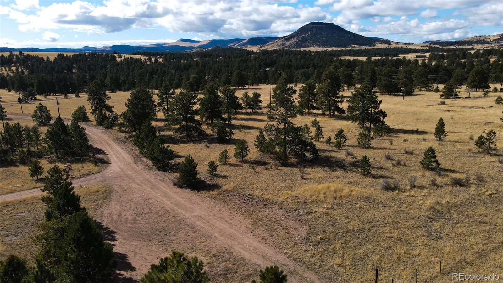 101 Piney Road Guffey, CO 80820 - Photo 7 of 10