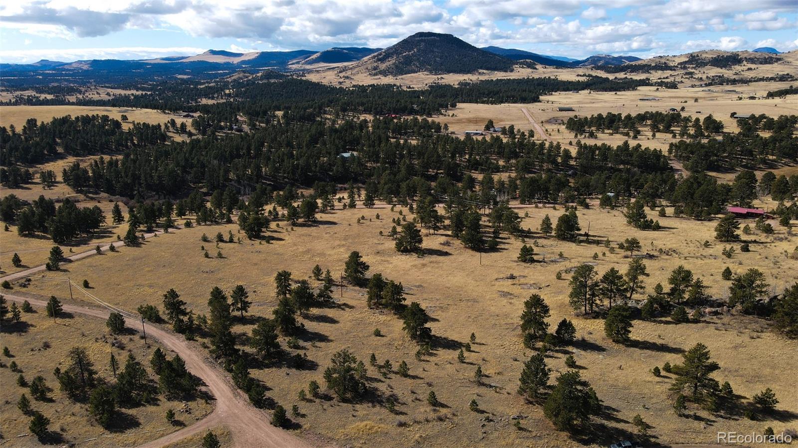 101 Piney Road Guffey, CO 80820 - Photo 8 of 10