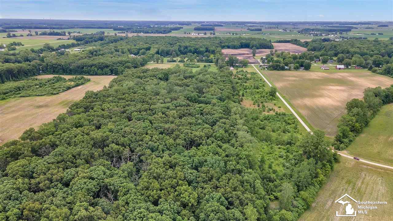 17510 Ida Center Road Petersburg, MI 49270 - Photo 25 of 25