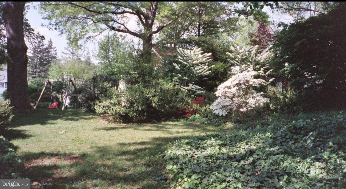 445 South Walnut Street Lititz, PA 17543 - Photo 4 of 56 Full View of yard