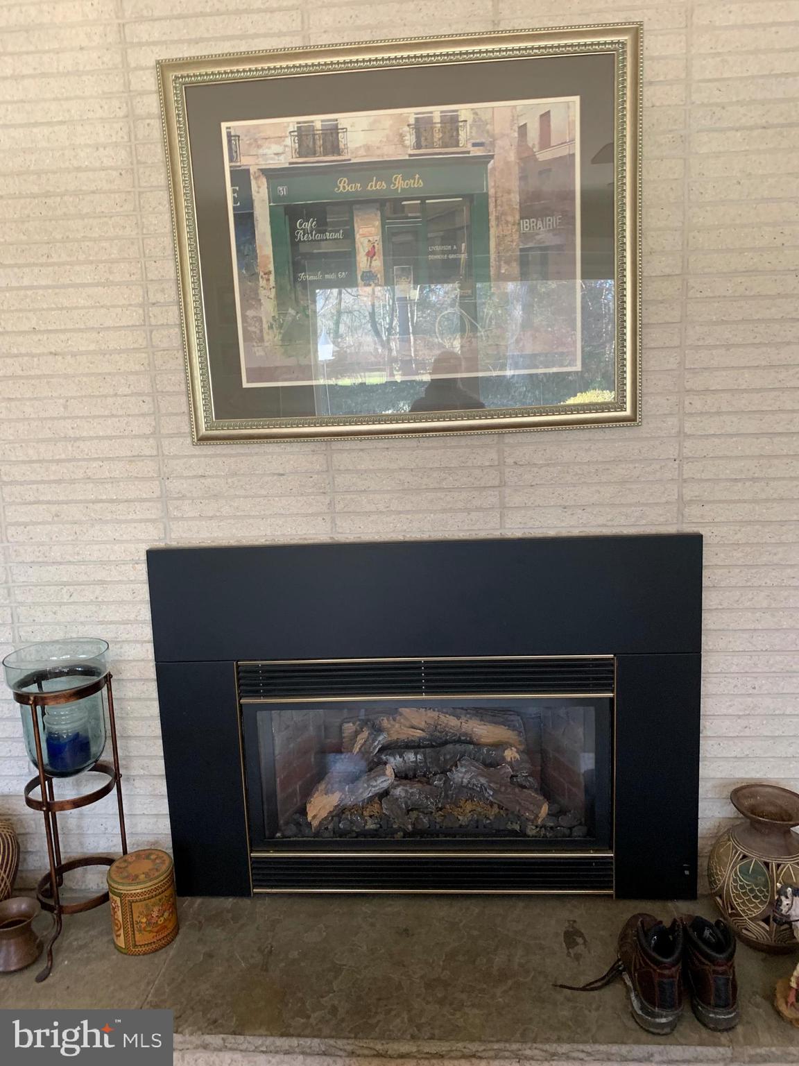 445 South Walnut Street Lititz, PA 17543 - Photo 47 of 56 Gas Fireplace