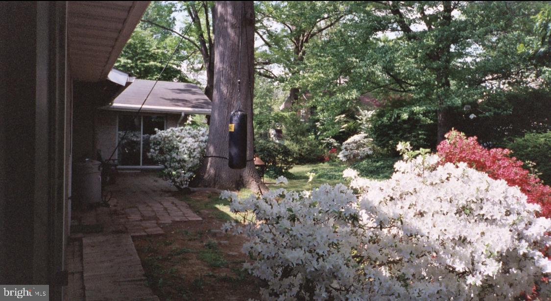 445 South Walnut Street Lititz, PA 17543 - Photo 6 of 56 Back Patio