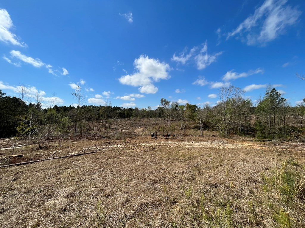 0 Stringer Cemetery Road Silver Creek, MS 39663 - Photo 5 of 11 Photo 5
