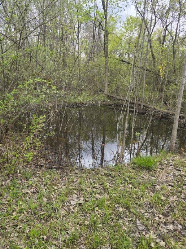 2119 East Vienna Road Clio, MI 48420 - Photo 85 of 88