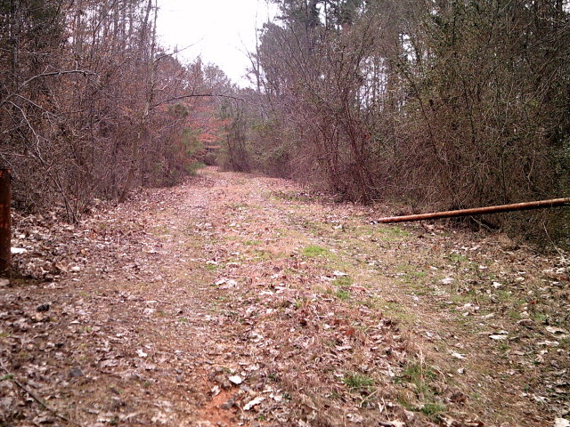 0 Dunnagan Road Rocky Face, GA 30740 - Photo 1 of 10 Main View