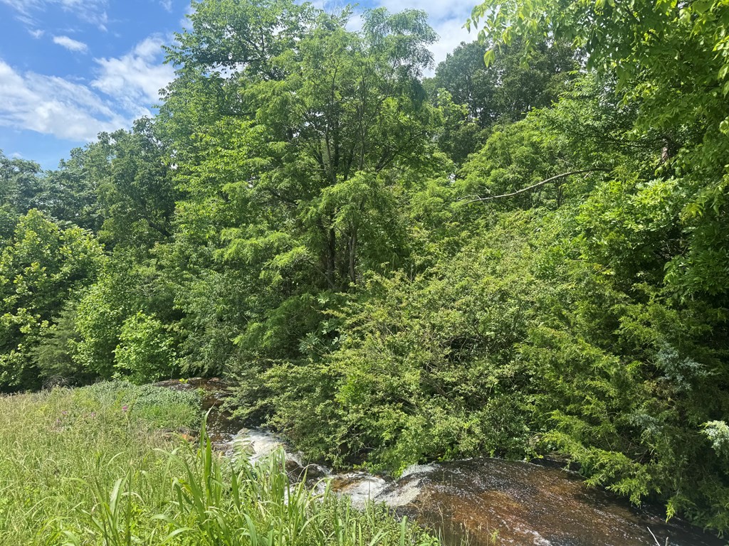 0 Vandy Circle Sparta, TN 38583 - Photo 2 of 7